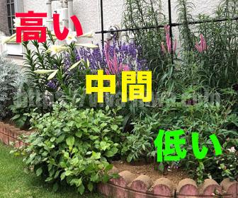 100以上 多年草 宿根草 花壇 レイアウト 誕生 日 ライン 友達